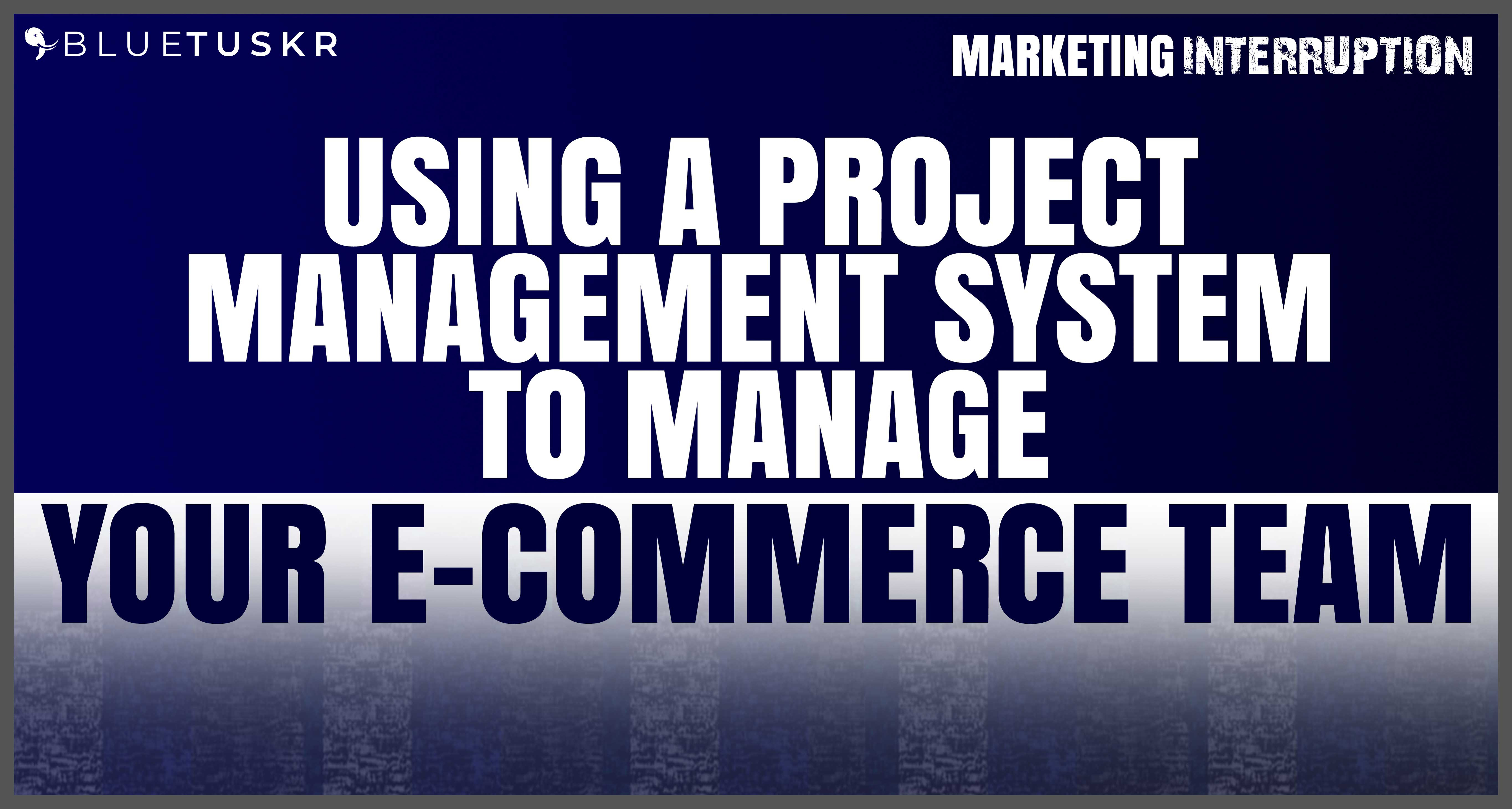 Using a Project Management System to Manage your E-commerce Team | Ep. #62