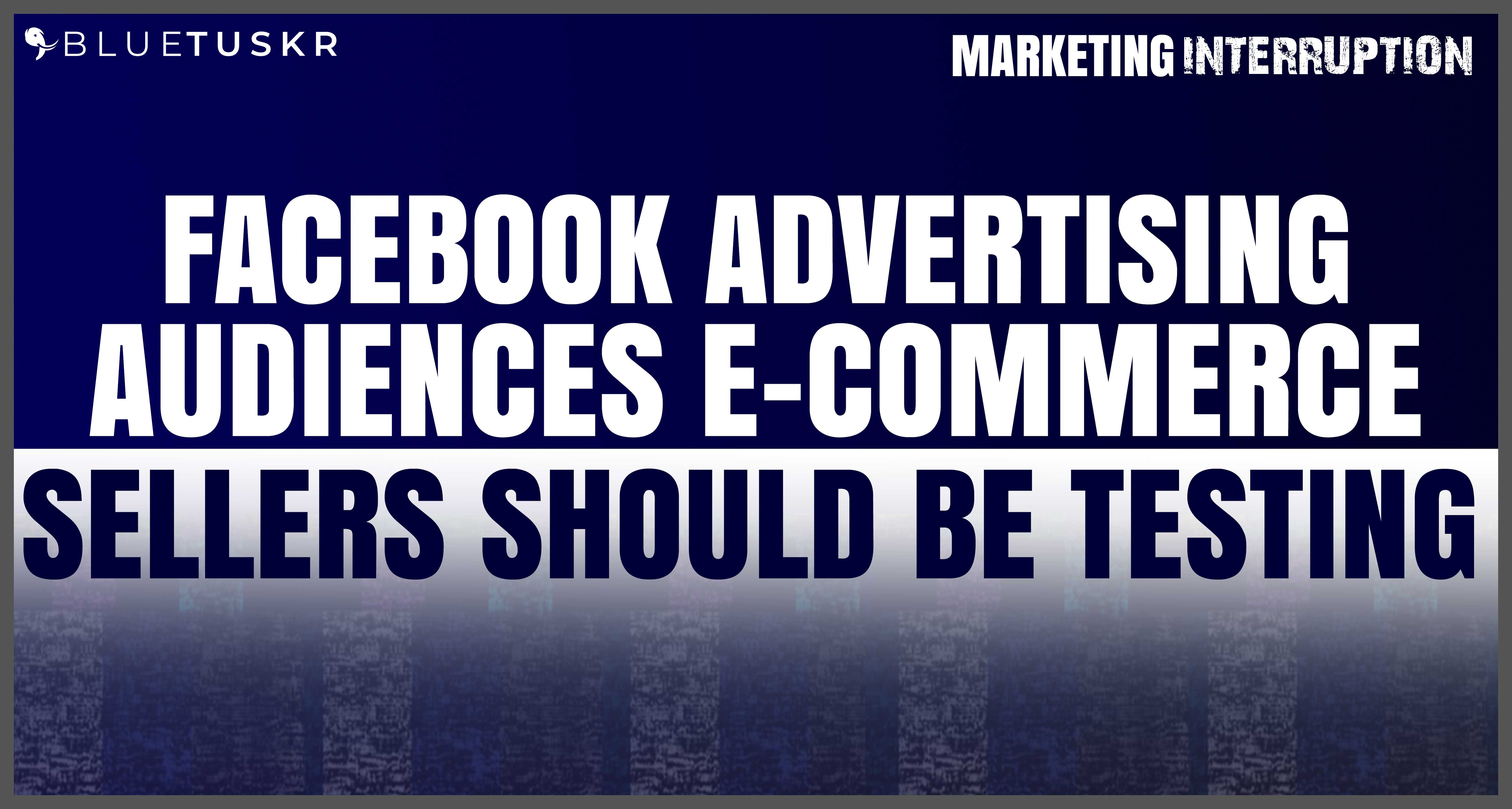 Facebook Advertising Audiences E-commerce Sellers Should be Testing | Ep. #36